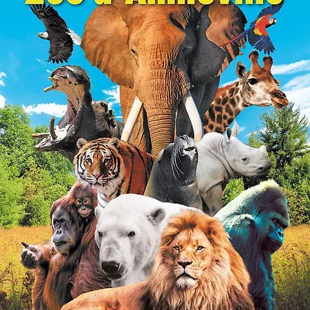 罐头餐厅酒店 2* 克达日叙尔康讷