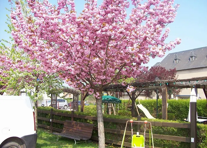 酒店 罐头餐厅酒店 克达日叙尔康讷